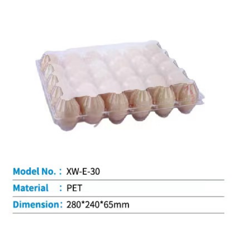 Plastic Egg Tray