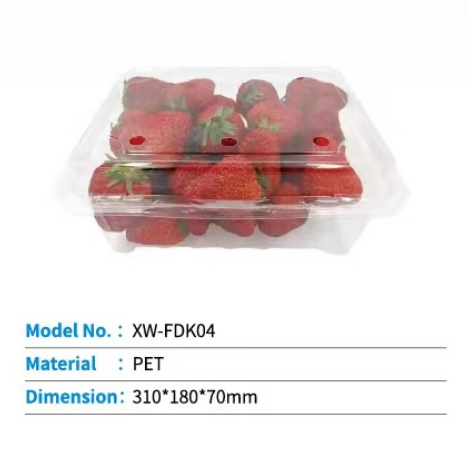 Plastic Fruit Container