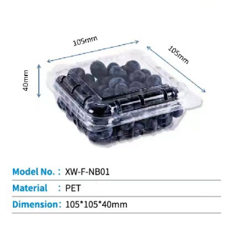 Plastic Fruit Container