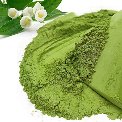 Jasmine Matcha